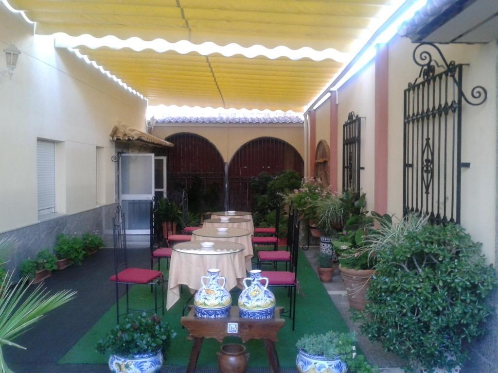 Maximiano Herculeo 2*